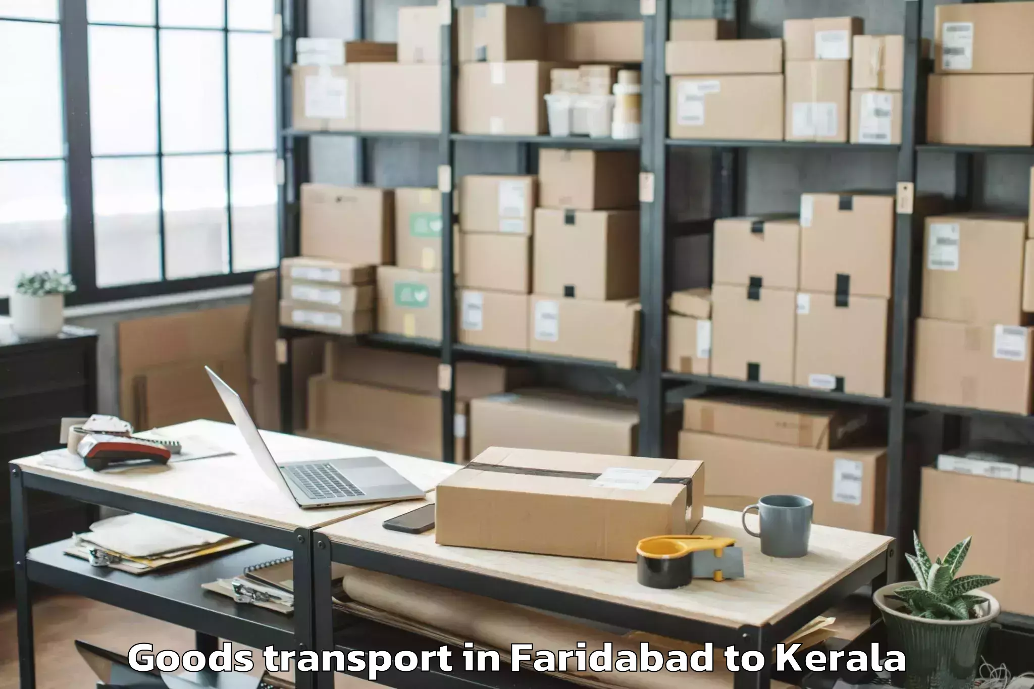 Professional Faridabad to Palackattumala Goods Transport